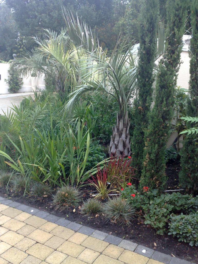 View of memorial garden and wild flowers